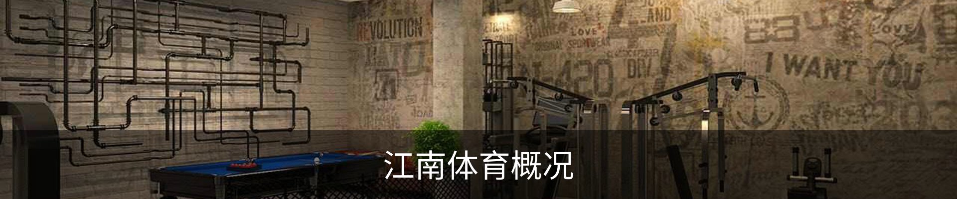 江南体育概况